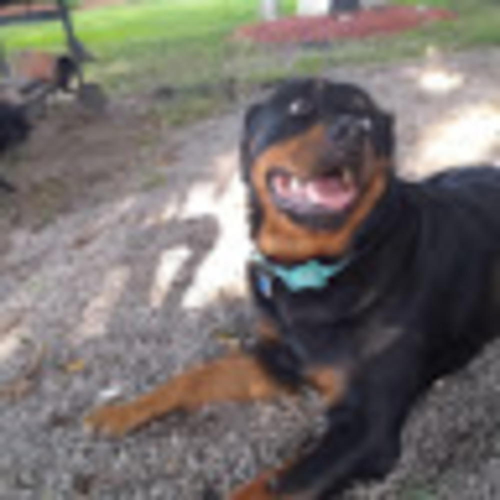 Meet your Posher, Halee